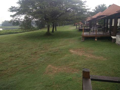 Paya Indah Wetlands Kuala Selangor Holidify