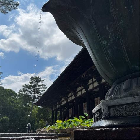 あなたと奈良いい古都 🪷 唐招提寺 2023｜🍀greensnap（グリーンスナップ）