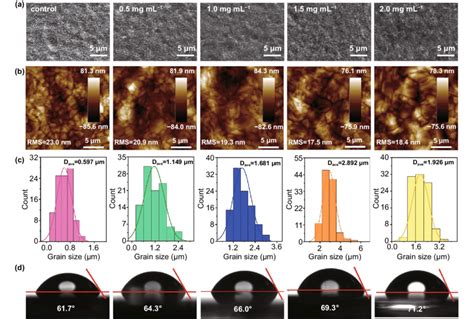 A Top View Sem Images B Afm Images C Grain Size Distributions D