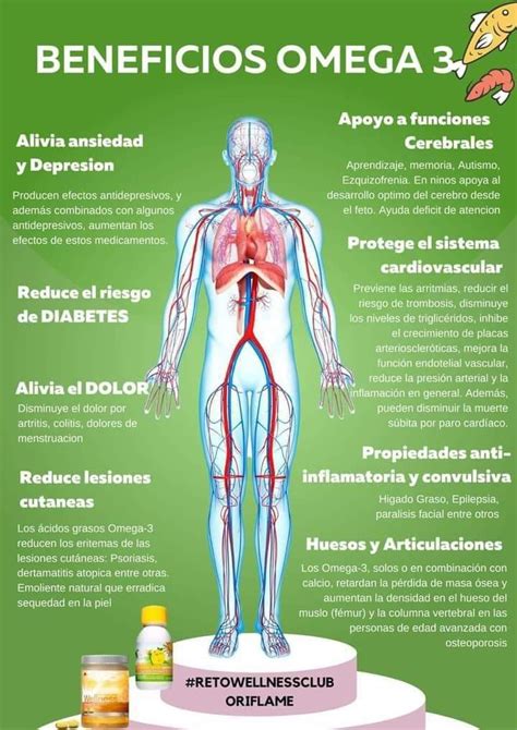 Beneficios De Omega Oriflame En Gu A De Nutrici N Beneficios