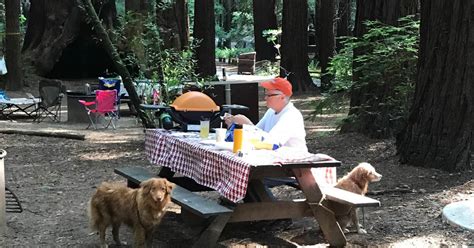 Camper-Submitted Photos of Burlington Campground — Humboldt Redwoods State Park