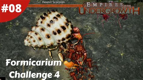 Formicarium Challenge 4 Empires Of The Undergrowth 08 Fire Ant