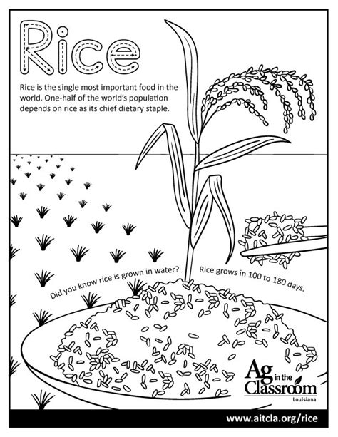 Louisiana Ag In The Classroom