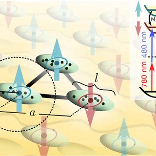 Proposed Experimental Setup For Simulating Quantum Spin Models In