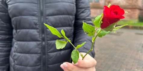 Trick mit geschenkter Rose in Dorsten Wie man sich richtig verhält