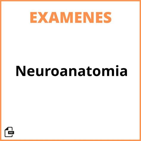 Ex Menes Neuroanatomia Resueltos