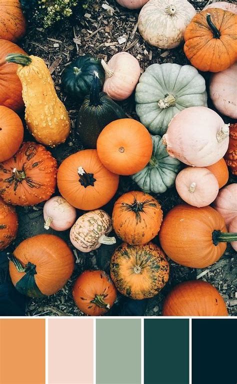 Paletas de colores de otoño para usar en tus proyectos Fall color