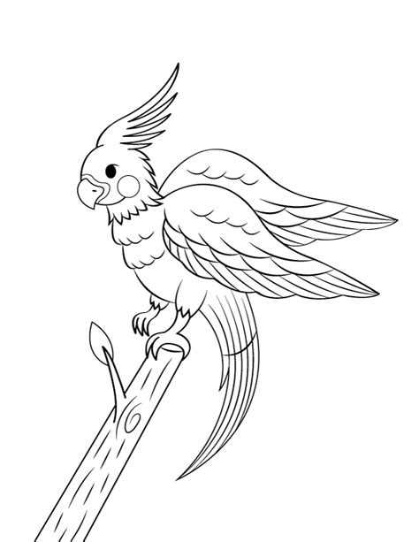 Printable Cockatiel Coloring Page