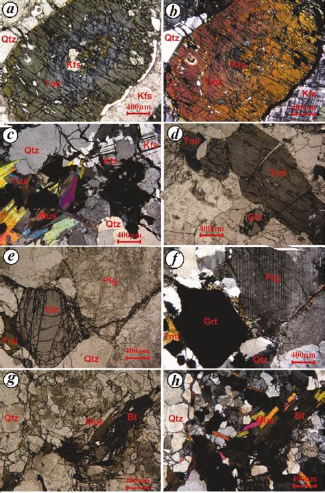 Photomicrographs Of A D Gg And E H Sg Qtz Quartz Kfs Download Scientific Diagram