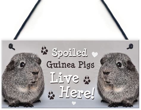 Red Ocean Spoiled Guinea Pigs Live Here Handmade Gift Sign For Guinea