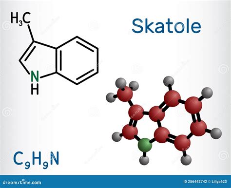 Skatole, 3-methylindole, Chemical Formula And Skeletal Structure Vector ...