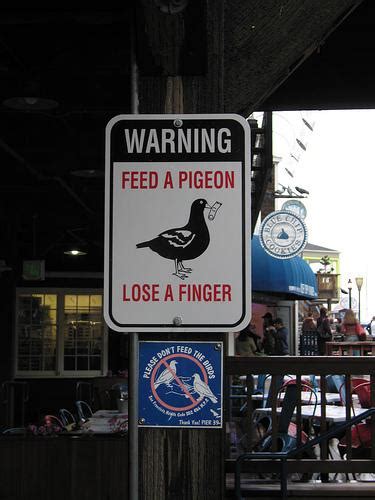 Funny Street Signs - Gallery | eBaum's World