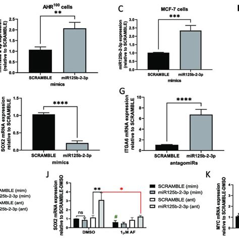 Mir B P Suppresses Itga And Sox Mrna Expression In Breast Cancer