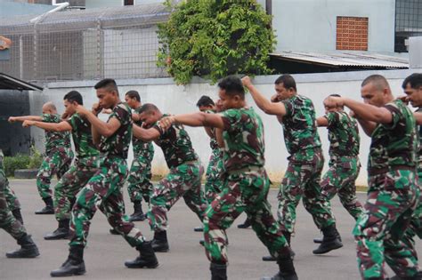 Prajurit Hiu Perkasa Yonmarhanlan Iii Latihan Bela Diri Chadrick