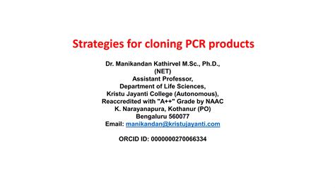 Strategies For Cloning Pcr Products Ta Cloning Topo Cloning Pdf