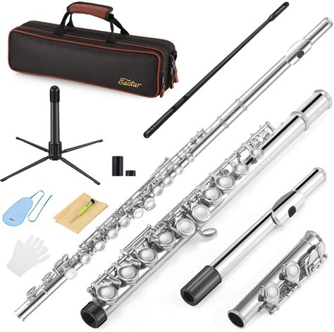 Eastar C Flutes Closed Hole C Flute Musical Instrument with Cleaning ...