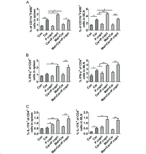 P Copri Aggravates The Carboplatin Induced Macrophage Imbalance And