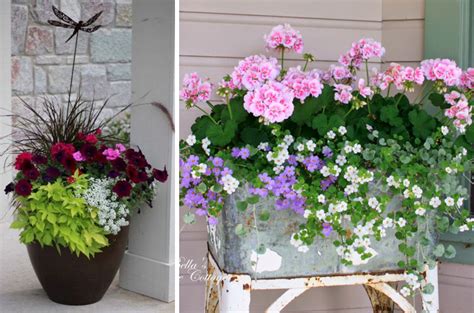 Gorgeous Flower Pot Ideas For Your Front Porch The Unlikely Hostess