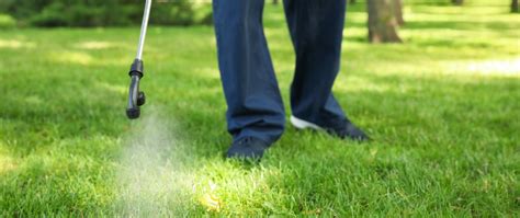 Do You Need To Use Both Pre Post Emergent Weed Control In Georgia