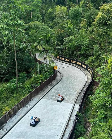 What Is Luge | Skyline Luge Singapore