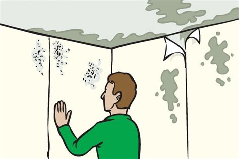 How To Treat Damp Walls (Simple Steps) - With Pictures