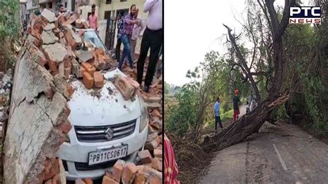 Punjab Weather Update Trees Uprooted Roads Blocked Power Outage Due