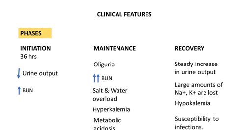 Pathology of Acute tubular injury/necrosis - Pathology Made Simple