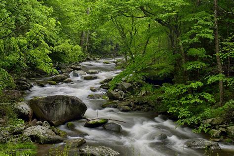 Summer Stream in Great Smoky Mountains Photograph by Darrell Young