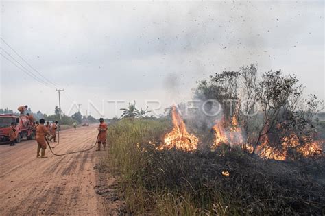 Pemadaman Kebakaran Lahan Di Ogan Ilir ANTARA Foto