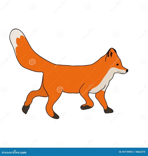 Cute Fox Run Stock Vector Illustration Of Creative Icon 49778992