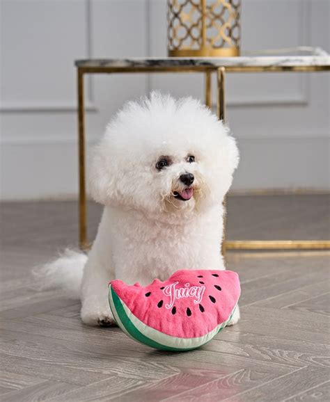 Juicy Couture Plush Watermelon Squeaky Pet Toy Macys