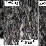 Sem Micrographs Of Al O Ag Samples Sintered At C During H