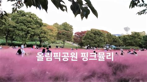 Pink Muhly Olympic Park Seoul Youtube