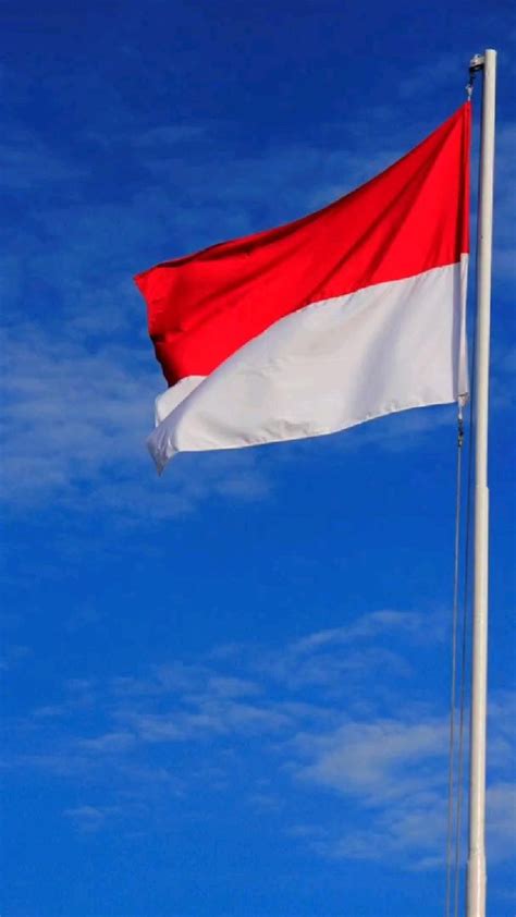 Mentahan Background Bendera Merah Putih Presiden Pictures Myweb