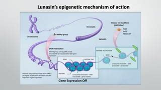 Lunasin And Epigenetics Vs Conventional Cancer Drugs Ppt