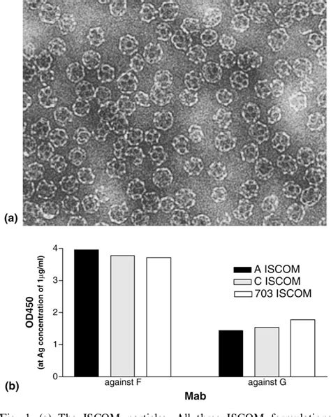 Figure From The Immunomodulating Properties Of Human Respiratory