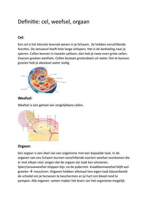 Samenvatting Planten Definitie Cel Weefsel Orgaan Cel Een Cel Is