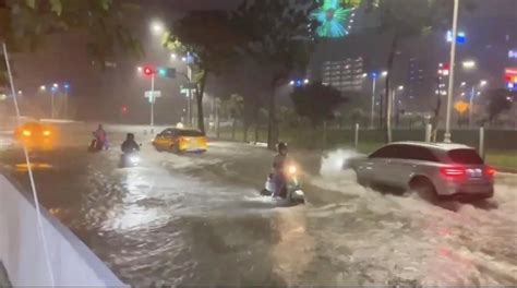 海葵颱風高雄輕軌停駛周邊淹50cm 馬路變「小河」汽機車強行通過