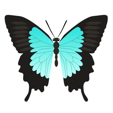 Butterfly teal color | Free SVG