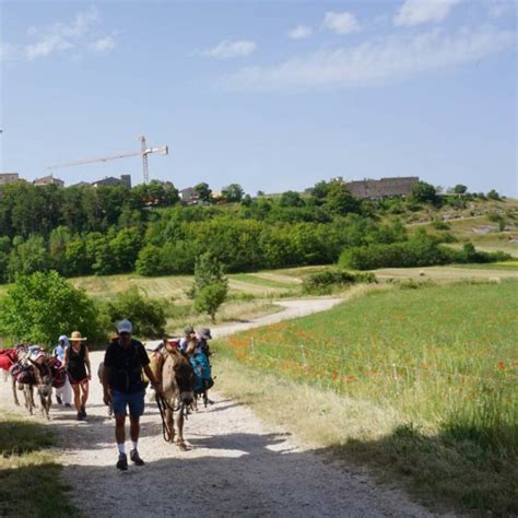 Trekking Someggiato Giorni In Slow Trekking Con Gli Asini