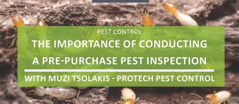 The Importance Of Conducting A Pest Inspection Before Purchasing A