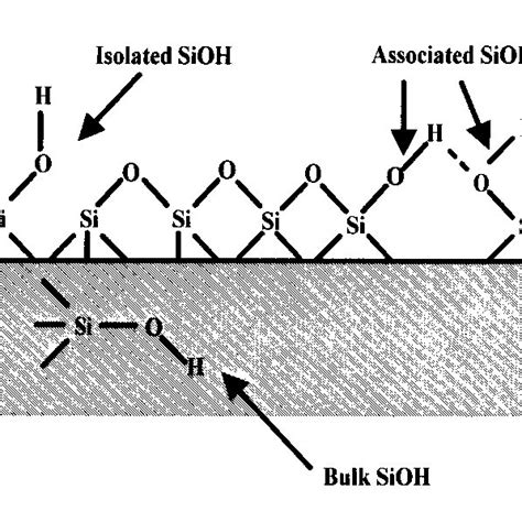 Schematic Of The Sources Of O H Stretching Absorption Isolated Sioh