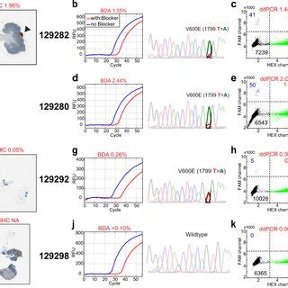 Analytical and clinical testing of non-V600E BRAF mutations. (a) BRAF... | Download Scientific ...