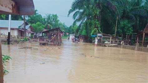 Aliran Sungai Meluap Kampung Kaciak Pesisir Selatan Sumbar Direndam