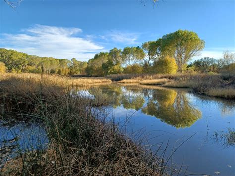 Sprnca Kingfisher Pond 102421 Western Watersheds Project