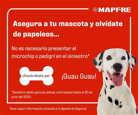 Mapfre México On Twitter Nuestro Amigo Fiel Merece El Mejor De Los Cuidados Conoce El Seguro