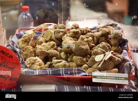 White Truffles On Sale During Alba White Truffle Fair In Alba Italy