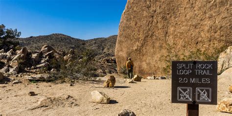 11 Best Day Hikes In Joshua Tree National Park Outdoor Project