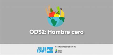 Ods Hambre Cero Junior Report