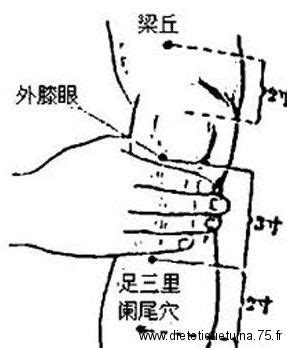 Le 36ème point d acupuncture du méridien de l estomac Point